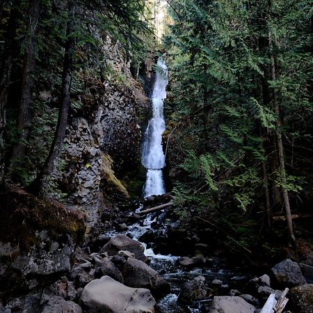 Grizzly Paw B&B Clearwater Luaran gambar