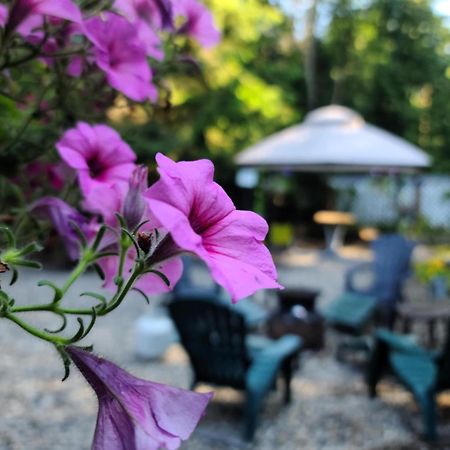 Grizzly Paw B&B Clearwater Luaran gambar